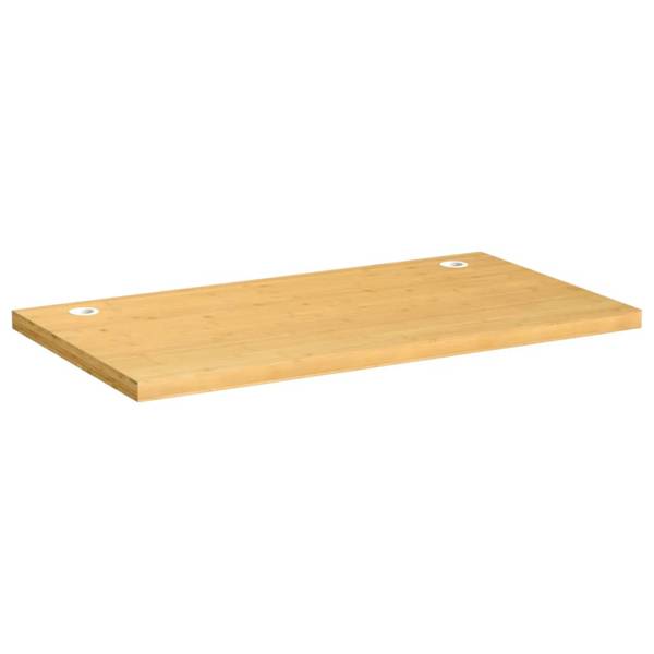 Schreibtischplatte 3028421-2 60 x 100 cm