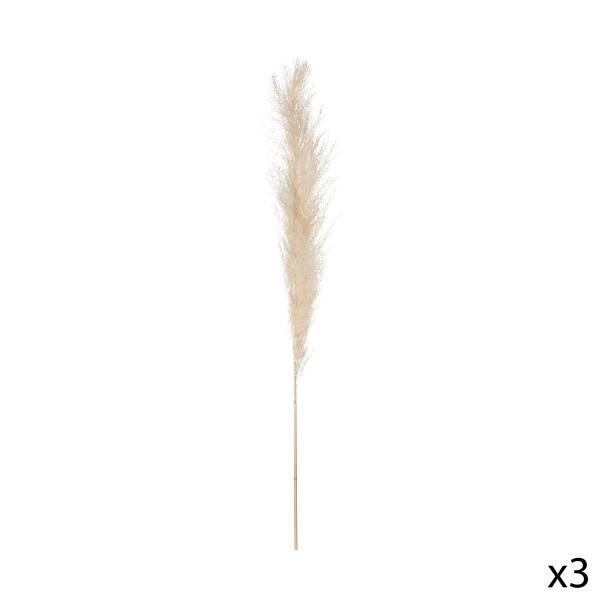 Trockenblumen PAMPA 3er-Set Beige - Naturfaser - 11 x 109 x 11 cm