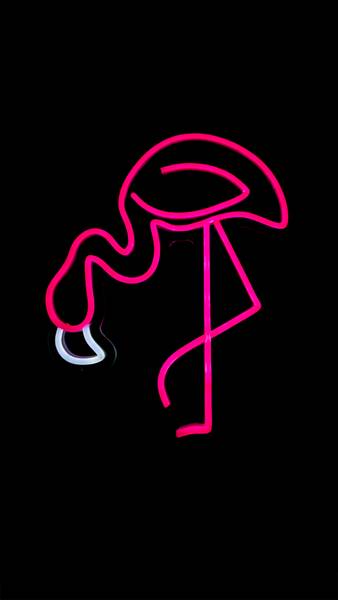 LED Neon Schild Flamingo Kunststoff - 40 x 33 x 2 cm