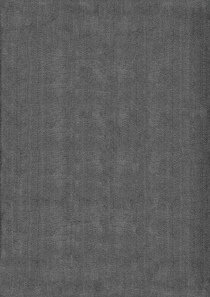 Teppich Relax waschbar Anti-Rutsch Anthrazit - 240 x 340 cm