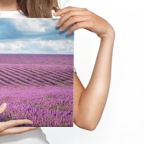 Tableau Panorama Champ de Lavande 3D Bleu - Mauve - Blanc - Lin - 145 x 45 x 45 cm