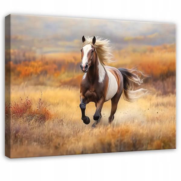 Leinwandbild Pferde 60 x 40 x 2 cm