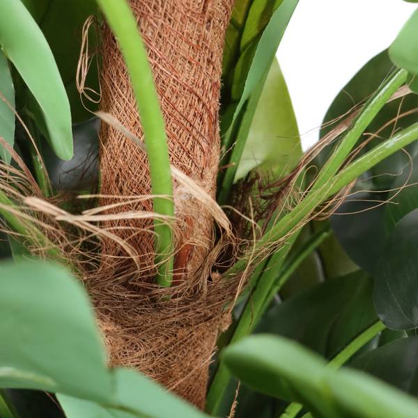 Kunstpflanze EPIPREMNUM Grün - Kunststoff - 67 x 155 x 60 cm