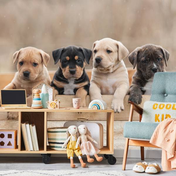 Papier Peint Chiens Famille Chiots 150 x 105 x 105 cm