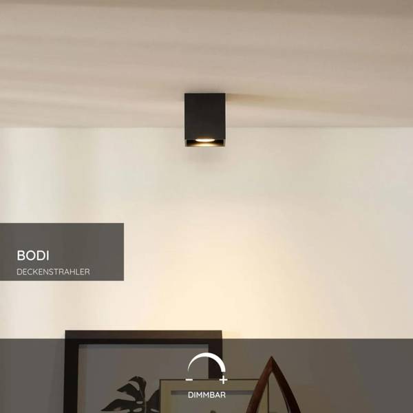 Deckenstrahler BODI Schwarz