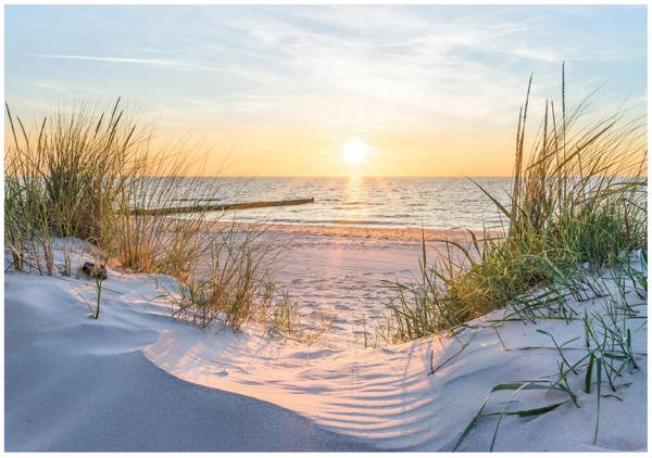Vlies Fototapete Strand Meer Natur 350 x 250 cm