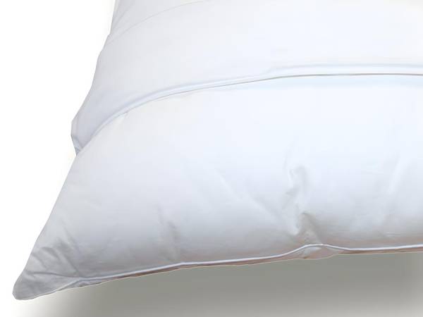 Kopfkissen ULTRA CONFORT 2er-Set Weiß - Textil - 60 x 1 x 60 cm
