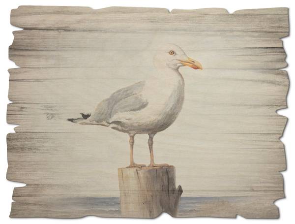Holzbild Möwe Weiß - Birke - 40 x 30 x 1 cm