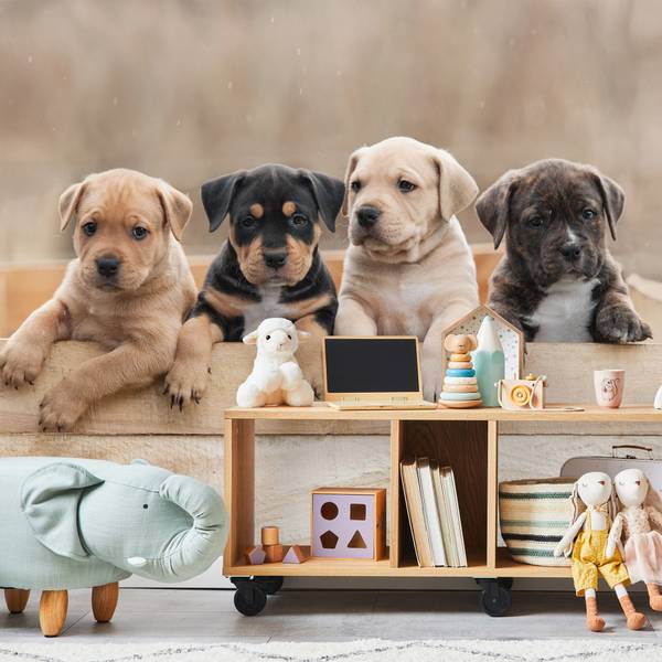 Papier Peint Chiens Famille Chiots 150 x 105 x 105 cm