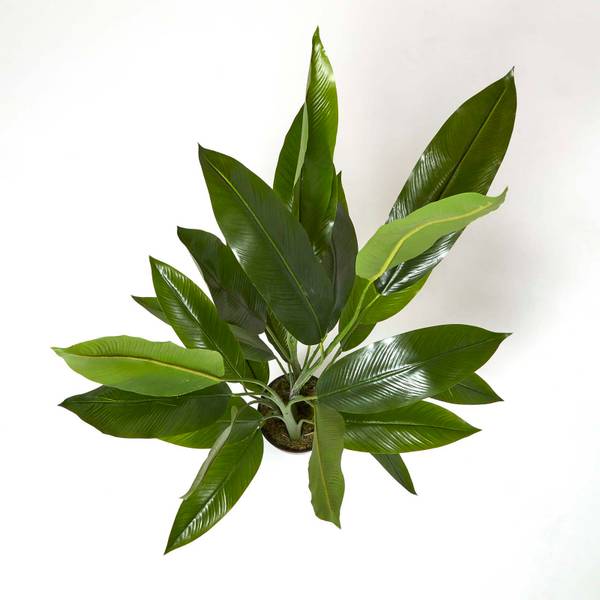 Heliconia Artificielle AP1604 Vert - Polyester - 18 x 140 x 140 cm