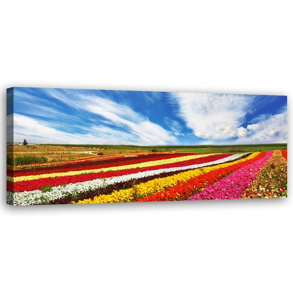 Wandbild tulpenfeld 90 x 30 cm
