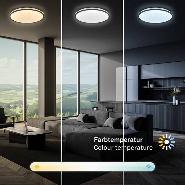 LED Deckenleuchte 3821015 Schwarz