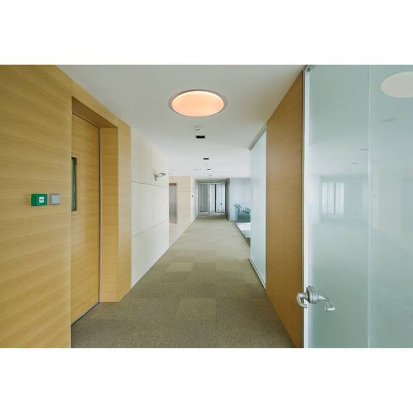 LED-plafondlamp Locarno acrylglas/staal - 1-lichts