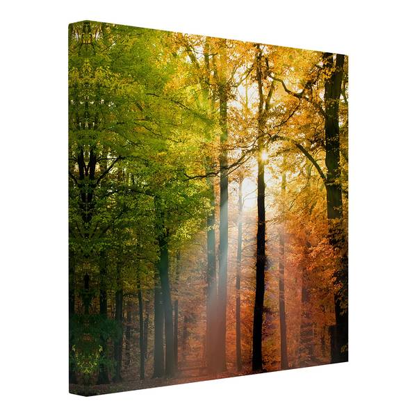 Bild Morning Light Leinwand /  Massivholz Fichte - Mehrfarbig - 30 x 30 cm