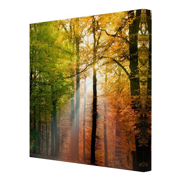 Bild Morning Light Leinwand /  Massivholz Fichte - Mehrfarbig - 30 x 30 cm