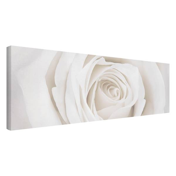 Tableau déco Pretty White Rose I Toile / Épicéa massif - Multicolore - 90 x 30 cm