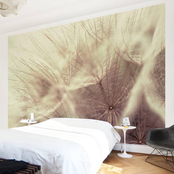 Vliesbehang Paardenbloem onscherp Vliespapier - 432 x 290 cm