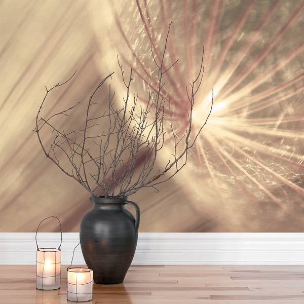 Vliestapete Pusteblumen Sepia Vliespapier - Beige - 288 x 190 cm