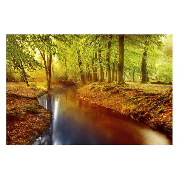 Vliesbehang Herfstbos sparrenhout - 480 x 320 x 0.1 cm