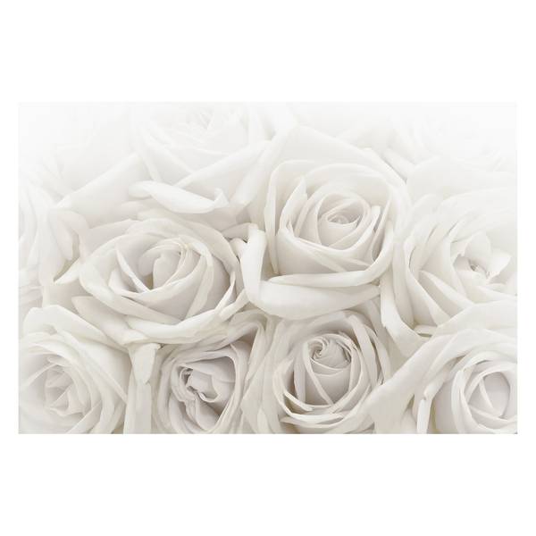 Papier peint roses blanches Papier peint - 384 x 255 cm