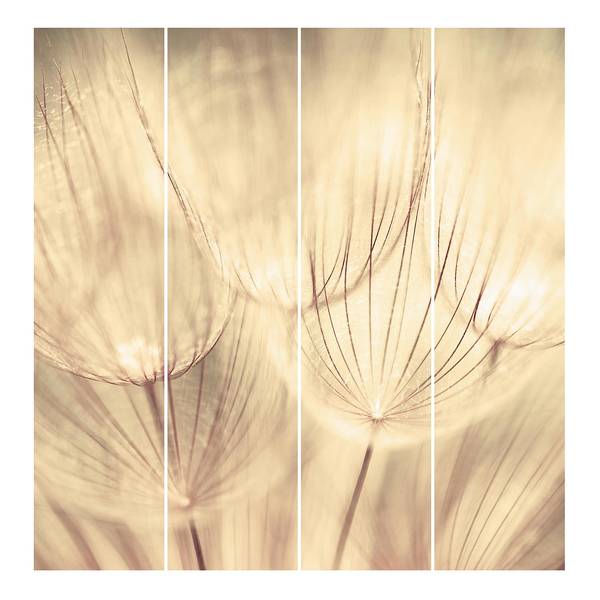 Schuifgordijnen paardenbloem (4-delig) microvezel - plafondmontage