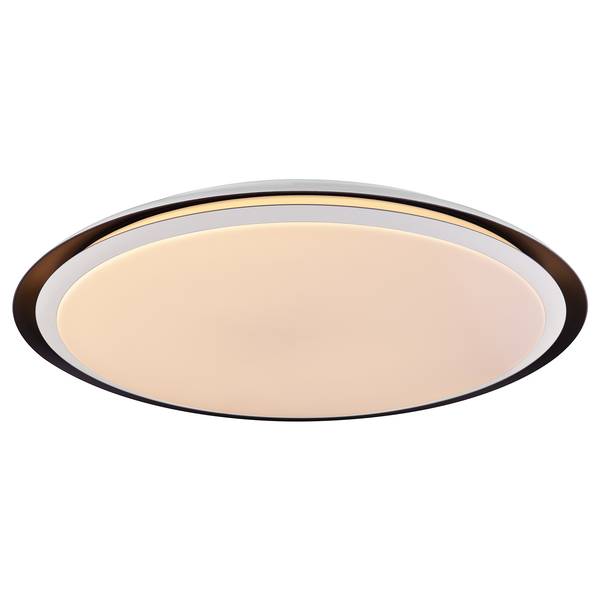 Plafonnier LED Xaver Acrylique / Fer - 2 flammes