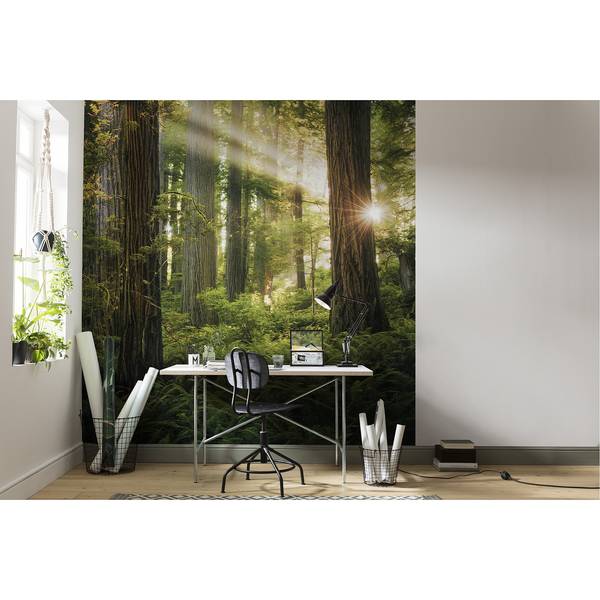 Fotobehang Goblins Woods vlies - groen