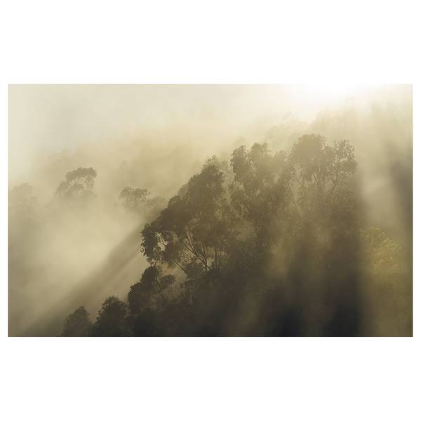 Fotobehang Misty Mountain vlies - meerdere kleuren