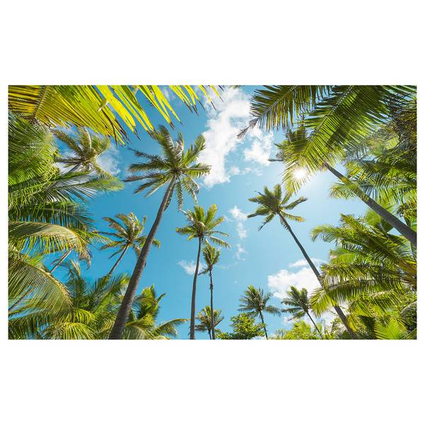 Vlies Fototapete Coconut Heaven Vlies - Bunt