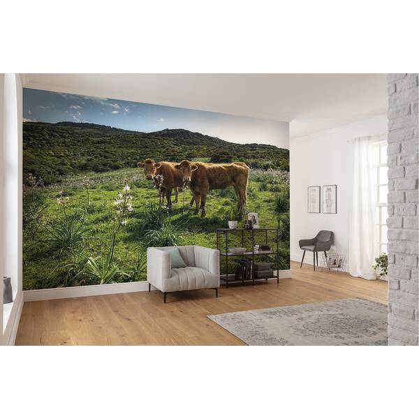 Fotobehang Koeienparadijs vlies - meerdere kleuren