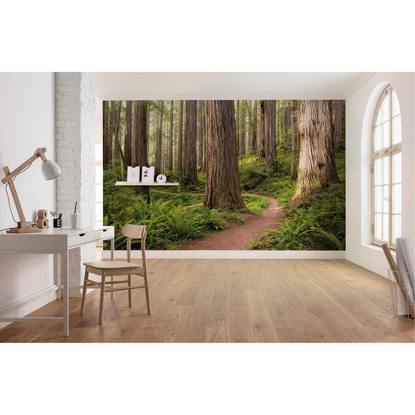 Papier peint intissé Redwood Trail Intissé - Multicolore