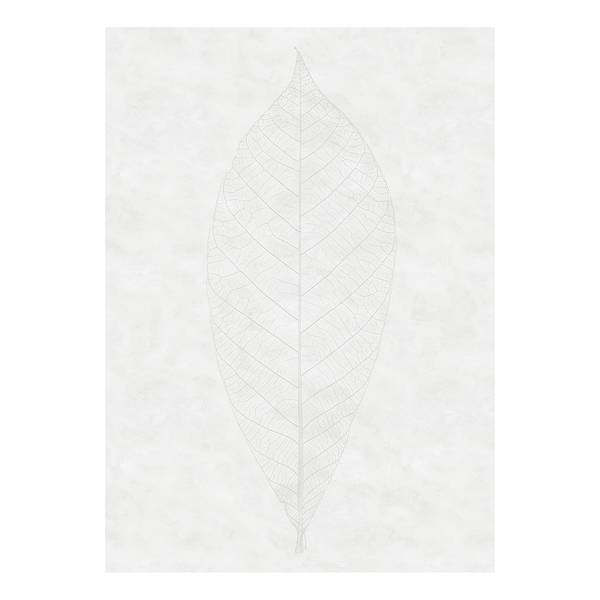 Fotobehang Decent Leaf vlies - wit/grijs