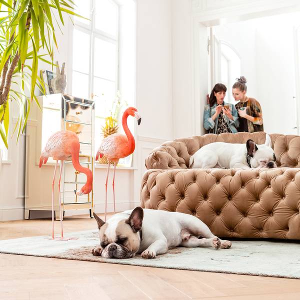 Sofa Santa Barbara (2-Sitzer) kaufen | home24