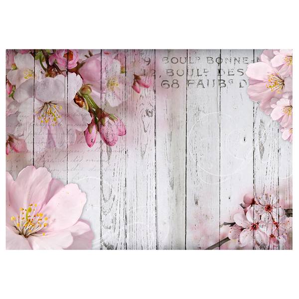 Vlies Fototapete Apple Blossoms Vlies - Grau / Pink - 250 x 175 cm