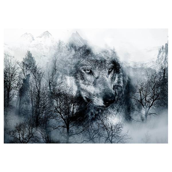 Fotomurale Mountain Predator Tessuto non tessuto premium - Nero / Bianco - 150 x 105 cm