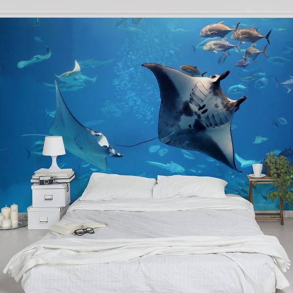 Fotomurale Manta Ray Tessuto non tessuto - Blu - 432 x 290 cm