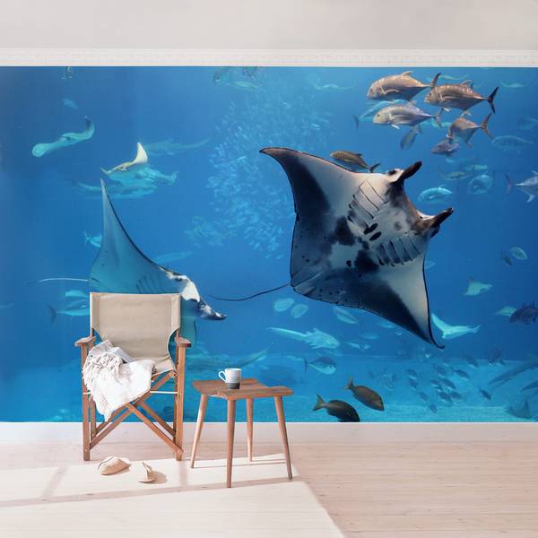 Fotomurale Manta Ray Tessuto non tessuto - Blu - 432 x 290 cm
