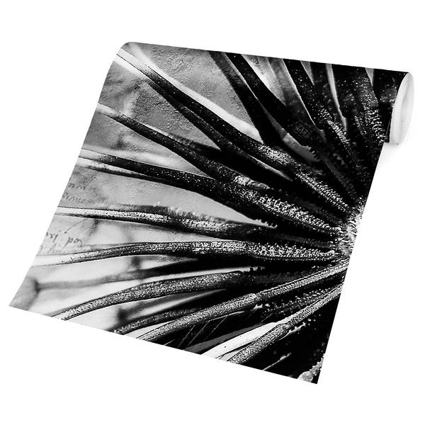 Fotomurale Dente di leone II Tessuto non tessuto - Nero / Bianco - 432 x 290 cm