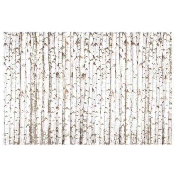 Vliesbehang No.YK15 Berkenmuur vliespapier - wit - 384 x 255 cm