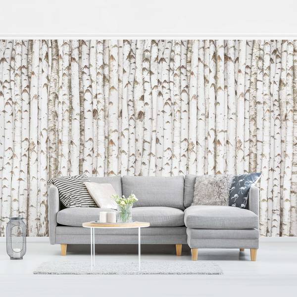 Vliesbehang No.YK15 Berkenmuur vliespapier - wit - 384 x 255 cm