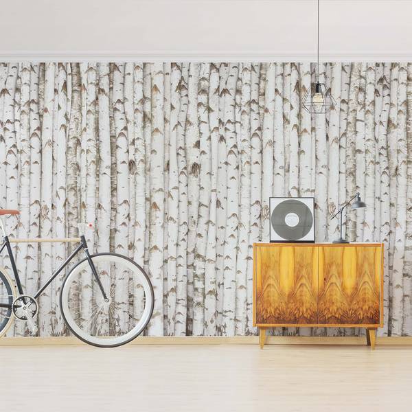 Vliesbehang No.YK15 Berkenmuur vliespapier - wit - 384 x 255 cm