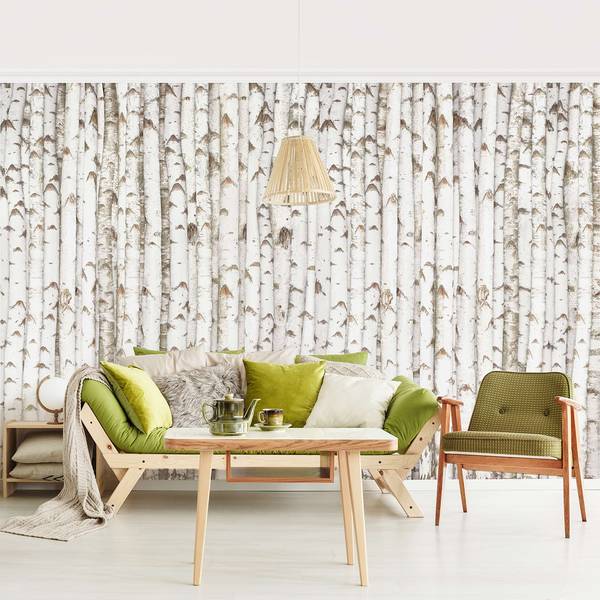 Vliesbehang No.YK15 Berkenmuur vliespapier - wit - 384 x 255 cm