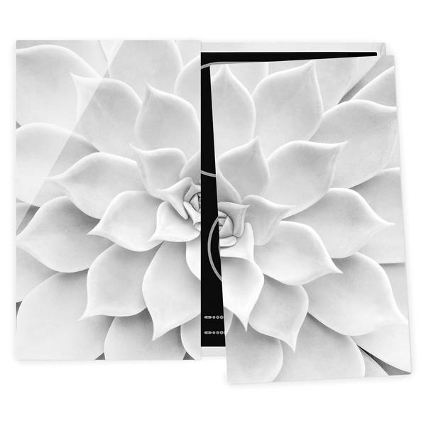 Protège-plaque de cuisson Succulente Verre de sécurité - Noir / Blanc - 60 x 52 cm