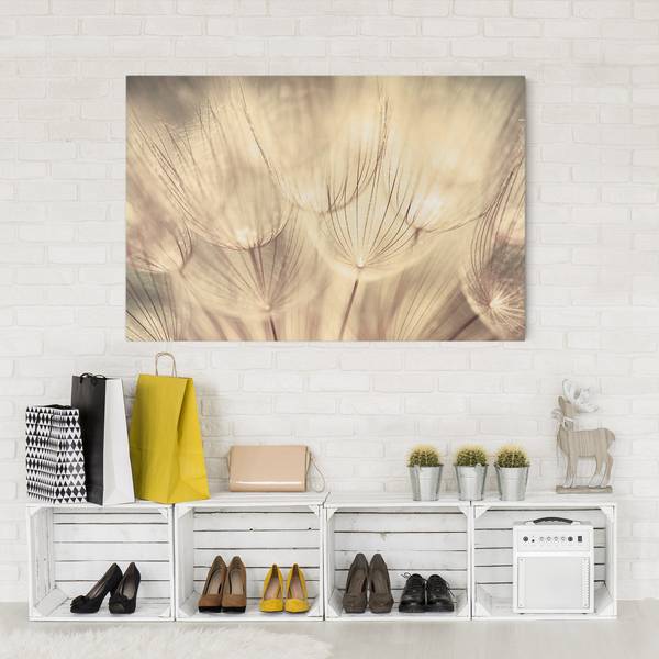 Canvas Dente di leone IV Beige - 60 x 40 x 2 cm - Larghezza: 60 cm