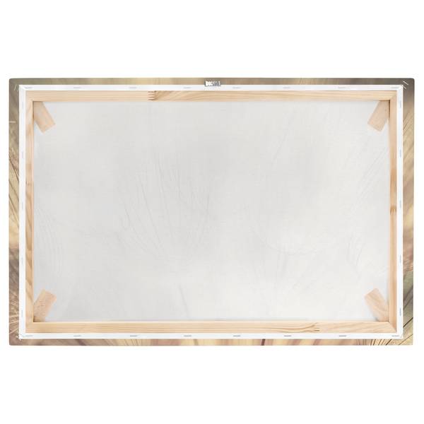 Canvas Dente di leone IV Beige - 60 x 40 x 2 cm - Larghezza: 60 cm