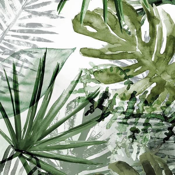 Vlies Fototapete Pure Nature Monstera Grün - 2m  x 2,8m  x 0,02m