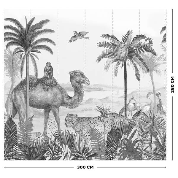 Vlies Fototapete Safari Grau - 3m  x 2,8m  x 0,02m