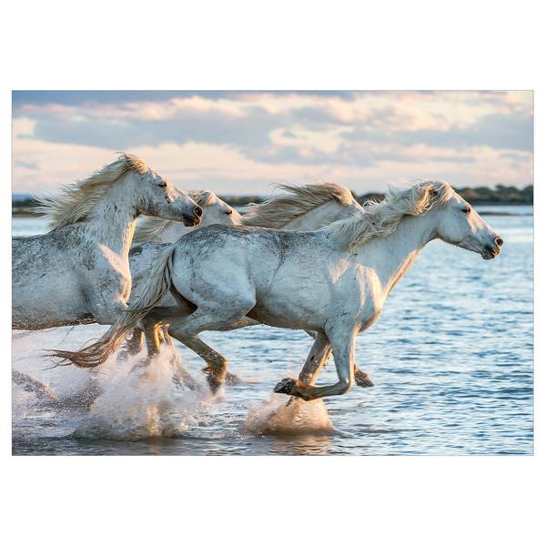 Fotomurale Wild Race Tessuto non tessuto - Multicolore - 400 x 280 cm