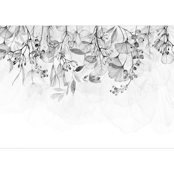 Vlies-fotobehang Foggy Nature vlies - grijs - 450 x 315 cm