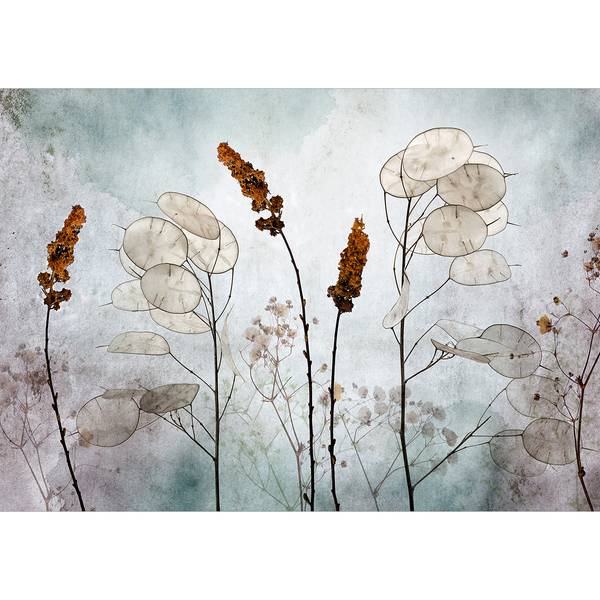 Vlies-fotobehang Lunaria in the Meadow vlies - meerdere kleuren - 300 x 210 cm